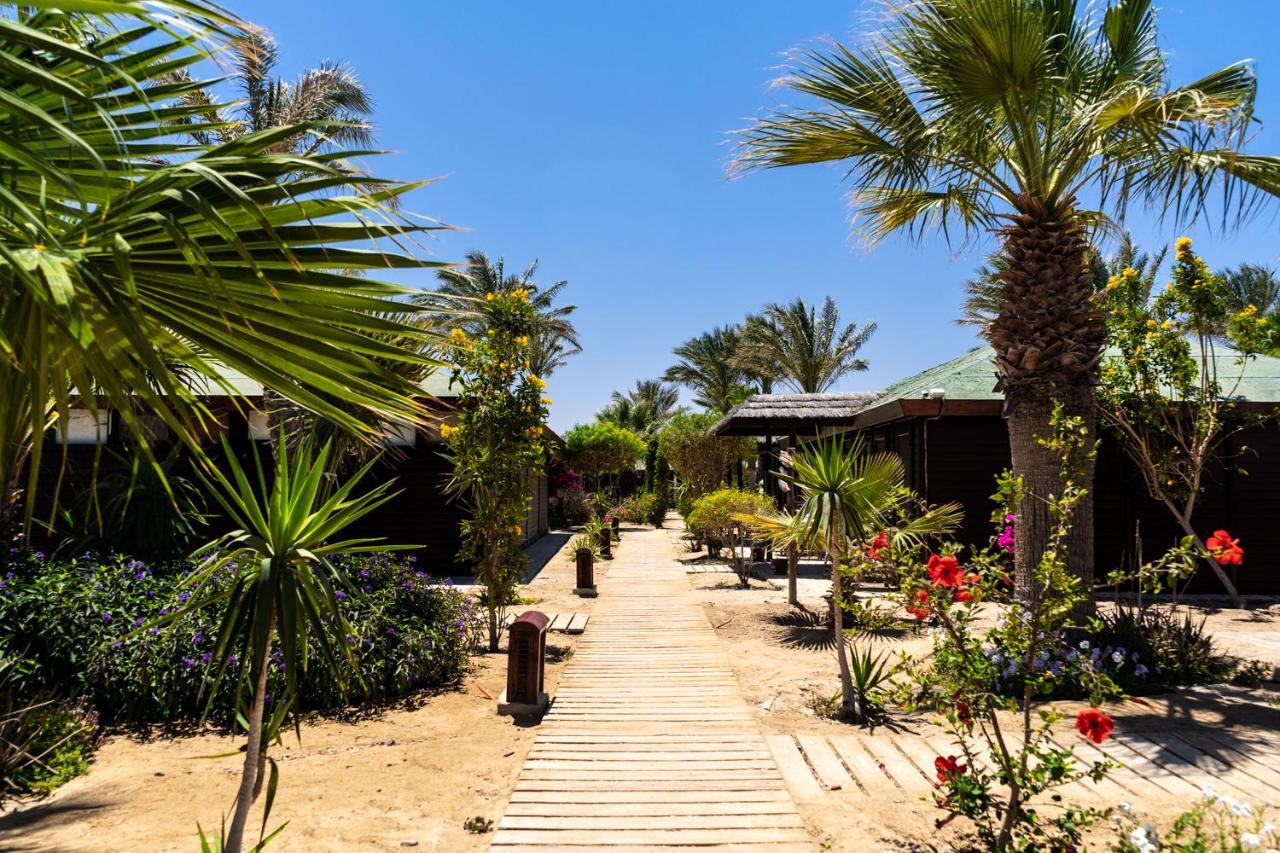 Abu Dabbab Lodge Экстерьер фото